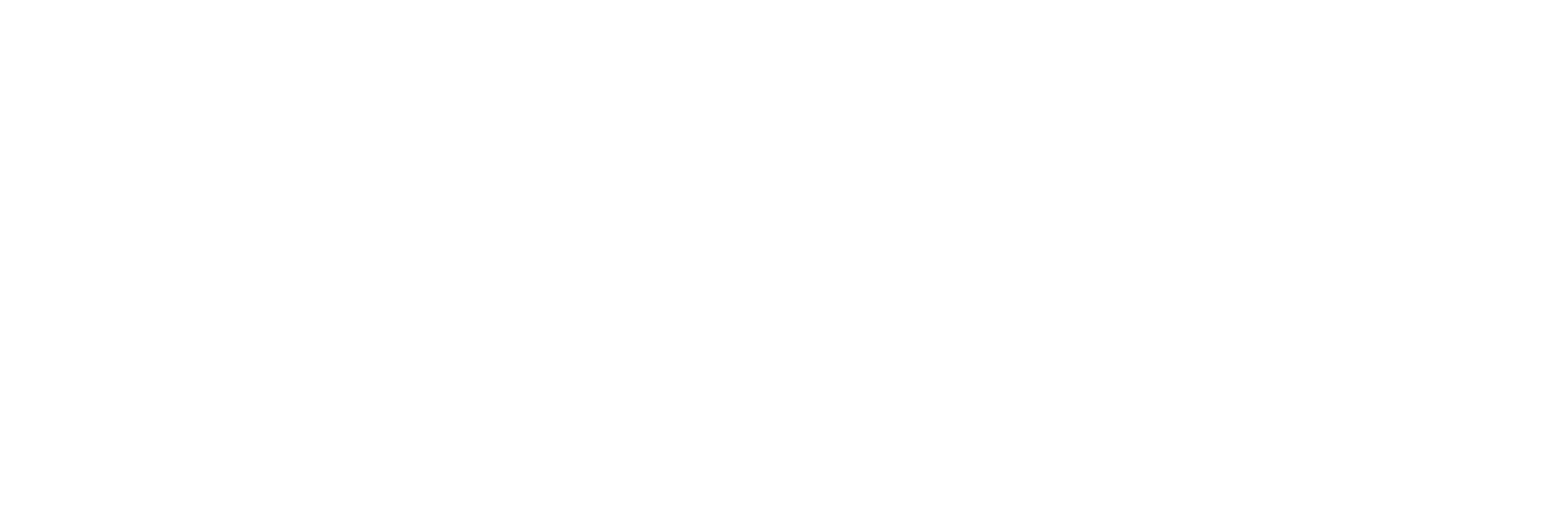 Logo_timevision_completo_bianco-01-2